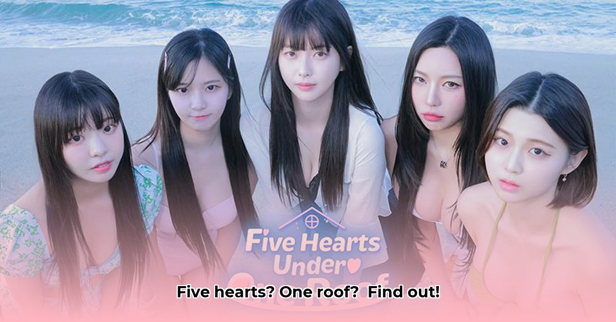 5-hearts-under-1-roof